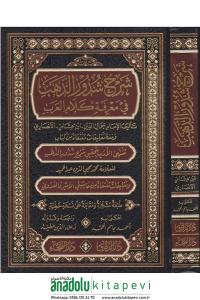 Şerhu Şüzuriz Zeheb  شرح شذور الذهب