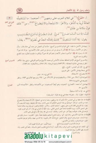 El Kamil fil Luga vel Edeb 4 Cilt الكامل في اللغة والأدب طبعة جديدة مط