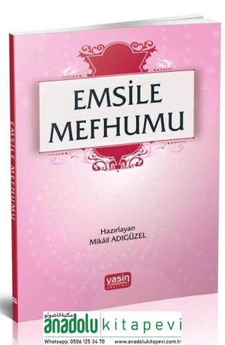 Emsile Mefhumu | Mikail Adıgüzel