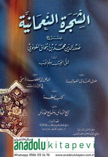 Eş Şecerün Numaniyye Bi Şerhi Sadreddin Muhammed b. İshak El-Konevi - 