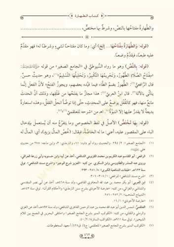 Haşiyetu ibn Abidin 21 Cilt takım - حاشية ابن عابدين