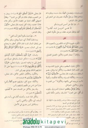 Müfredatü Elfazil Kuran مفردات ألفاظ القرآن