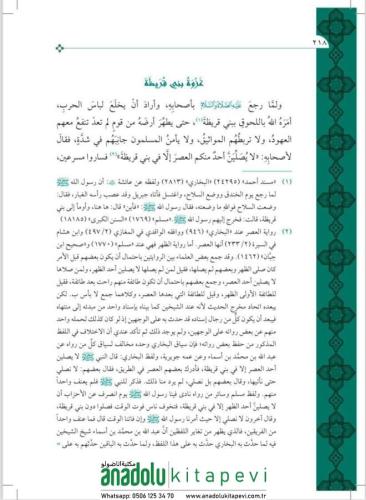 Nurul Yakin Fi Sireti Seyyidil Mürselin - نور اليقين في سيرة سيد المرس