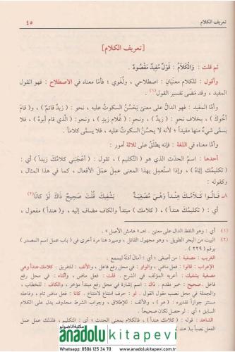 Şerhu Şüzuriz Zeheb شرح شذور الذهب